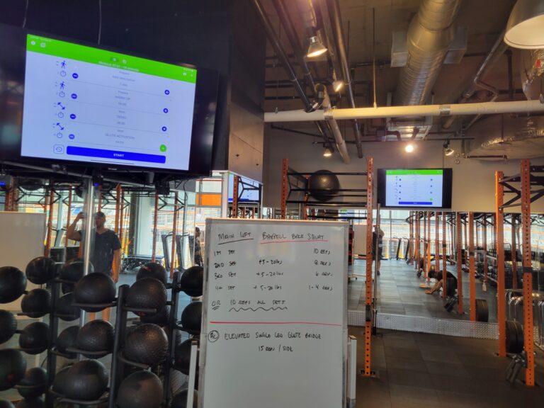 Alanson Media installation